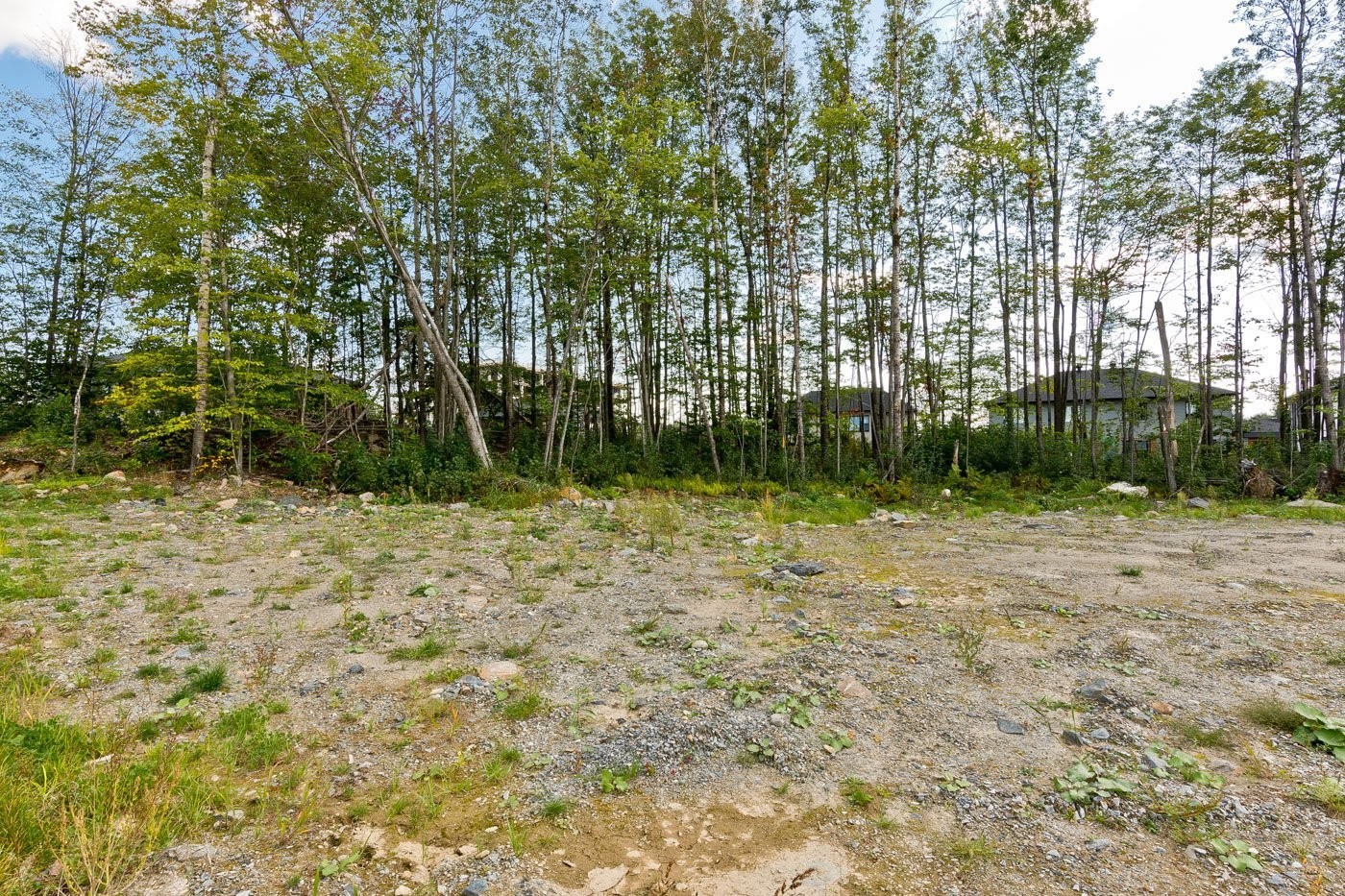 












Rue Alice-Campbell

,
Sherbrooke (Les Nations),







QC
J1L0K3

