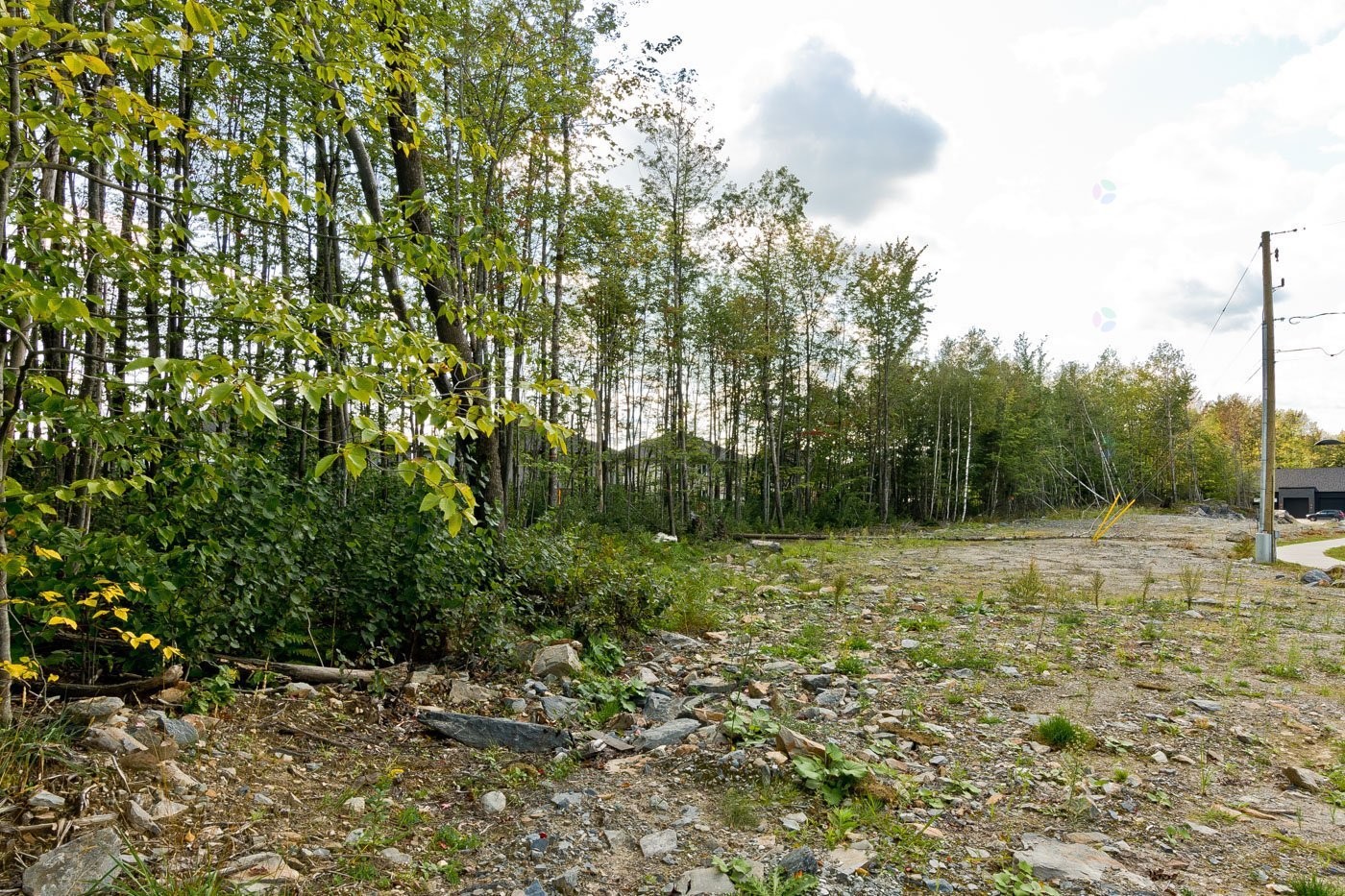 












Rue Alice-Campbell

,
Sherbrooke (Les Nations),







QC
J1L0K3

