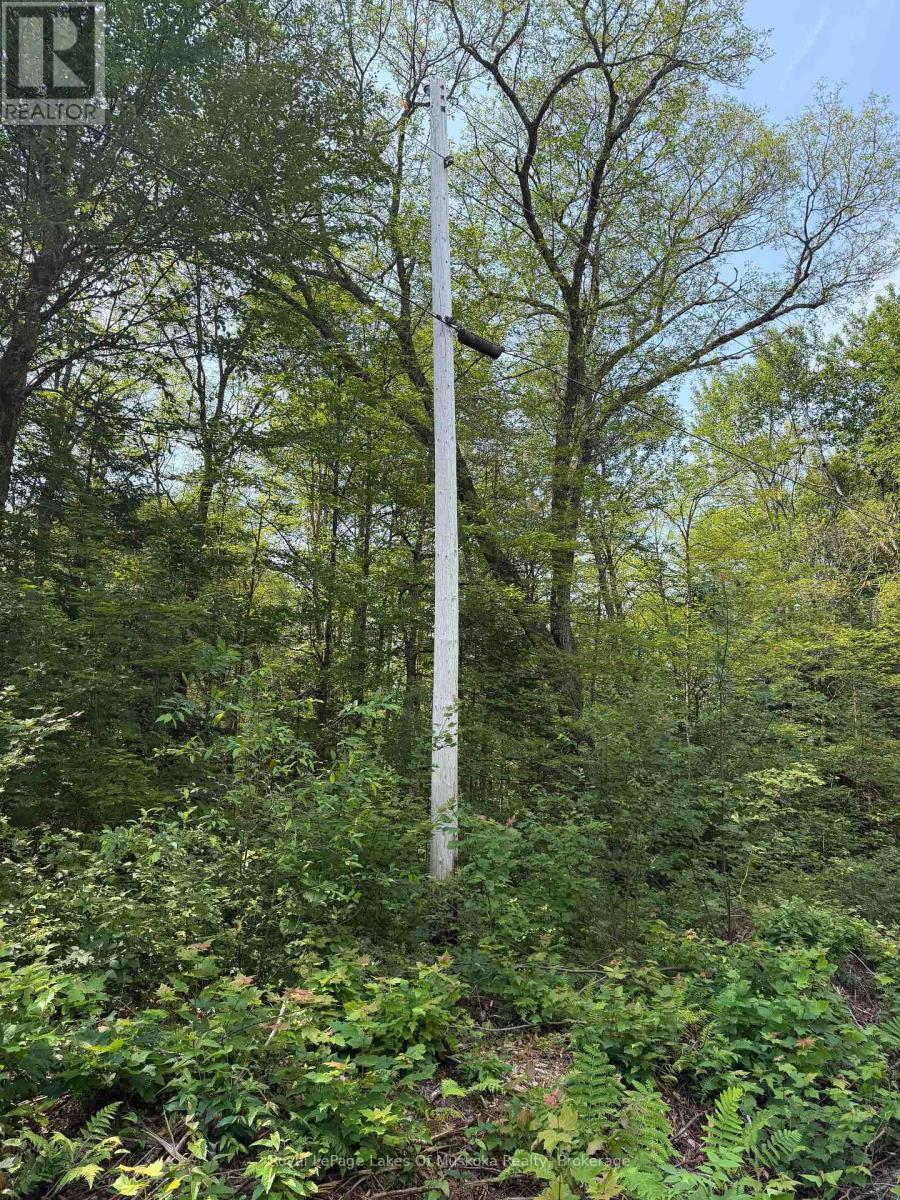 












0 STONEY ROAD

,
Ryerson,







Ontario
P0A1C0

