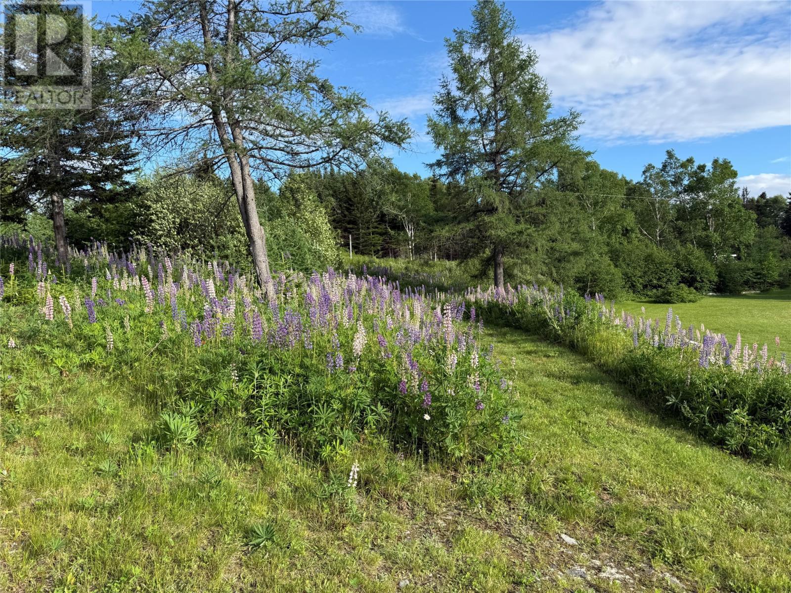 












0 Route 420

,
Hampden Highway,







Newfoundland & Labrador
A0K2Y0

