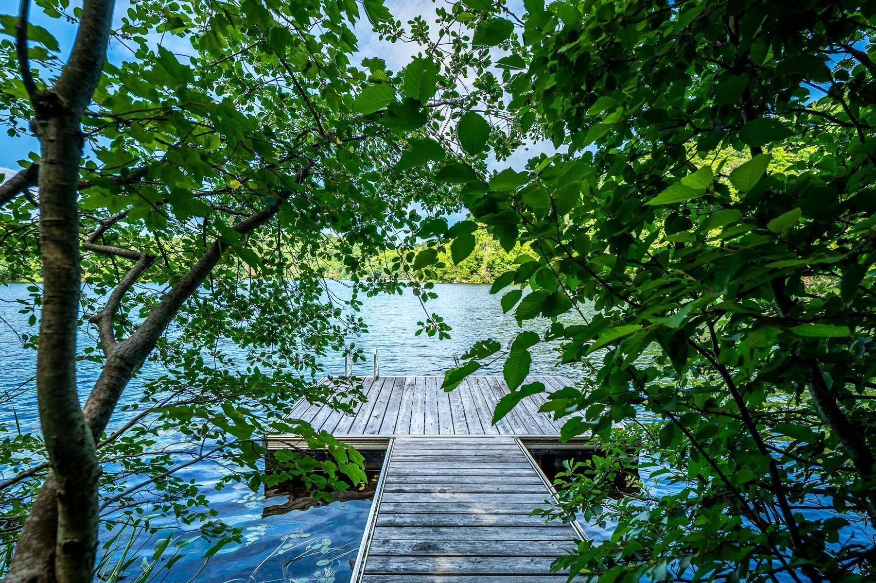 









227


Ch. des Gais-Lurons

,
Saint-Adolphe-d'Howard,




QC
J0T2B0

