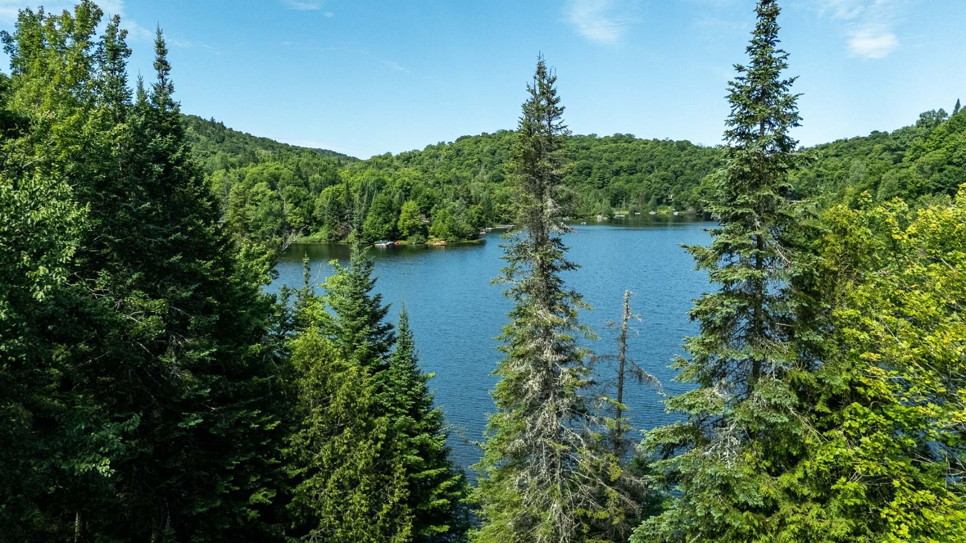 









227


Ch. des Gais-Lurons

,
Saint-Adolphe-d'Howard,




QC
J0T2B0

