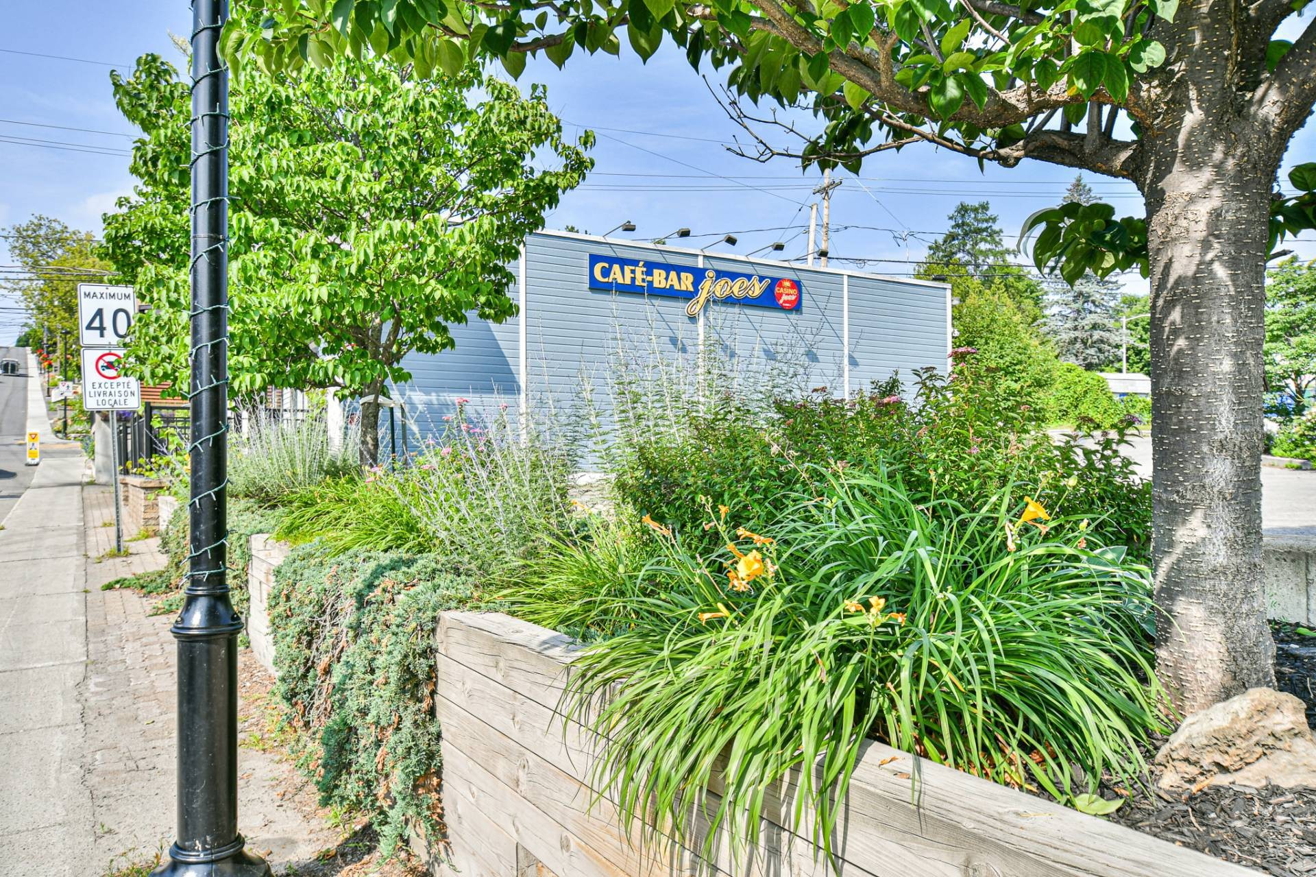 









19


Rue Morin

,
Sainte-Adèle,




QC
J8B2P5

