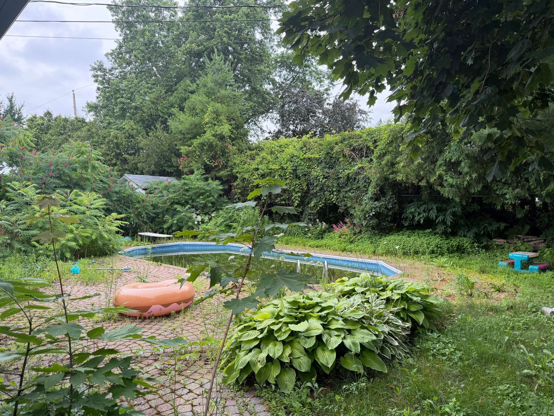 









556


Rue Milks

,
Gatineau (Gatineau),




QC
J8P6E4

