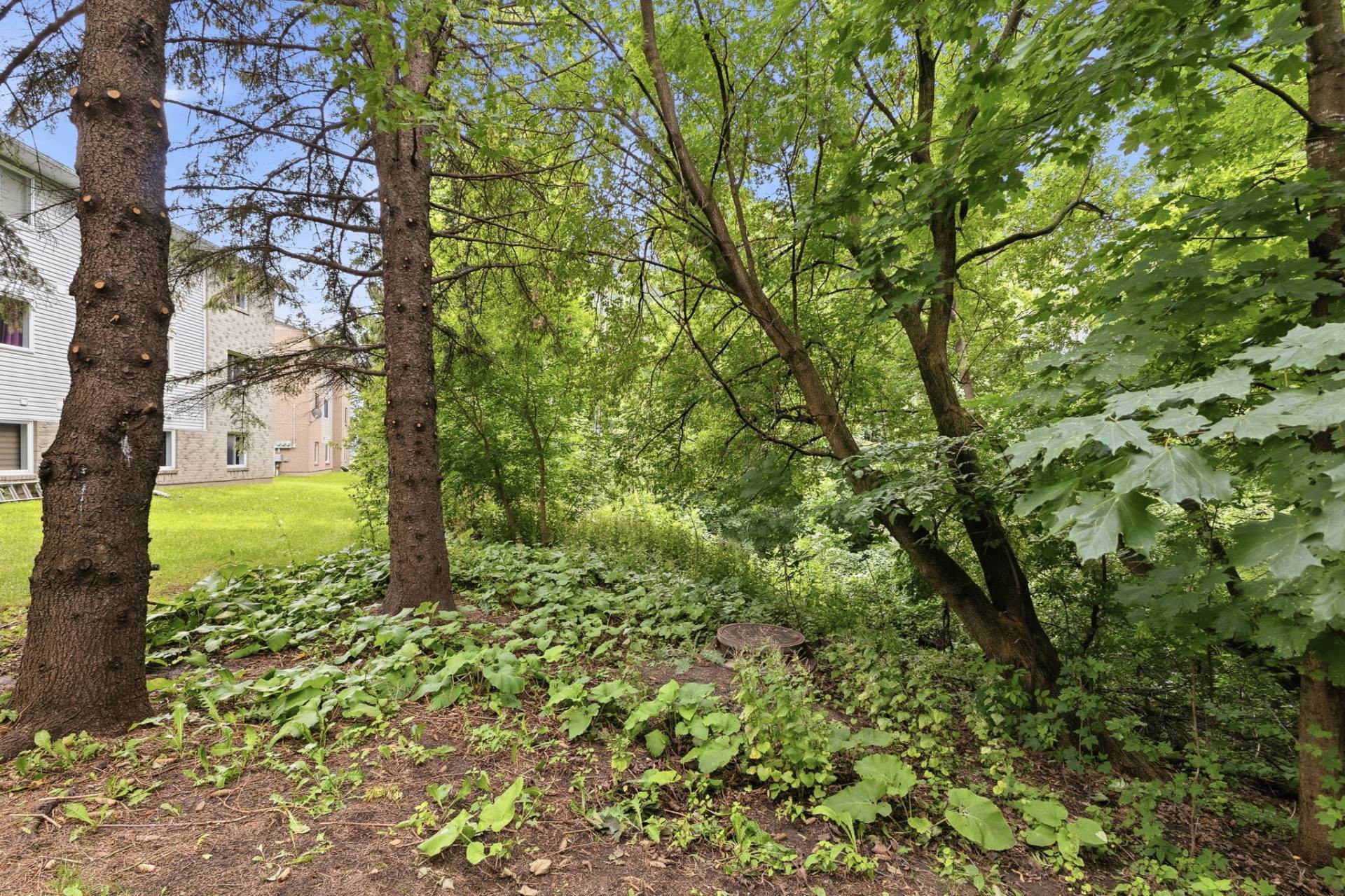 









186


Boul. La Vérendrye E.

, 1,
Gatineau (Gatineau),




QC
J8P7R6

