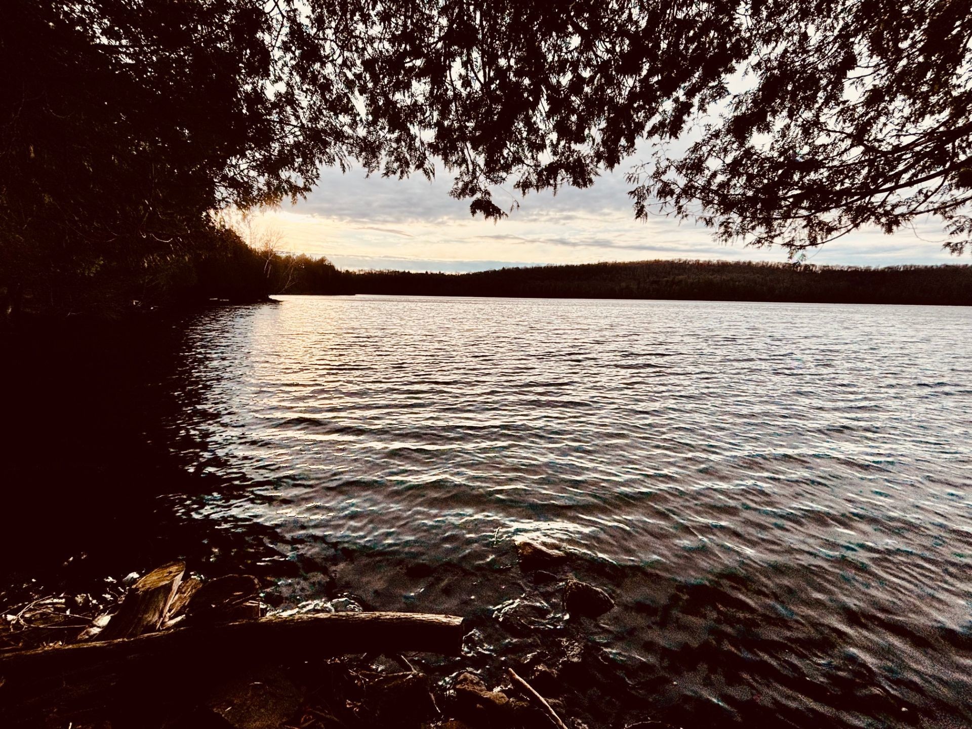 









498


Ch. des Caraganiers

,
Amherst,




QC
J0T2T0

