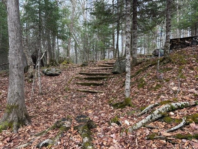 









498


Ch. des Caraganiers

,
Amherst,




QC
J0T2T0

