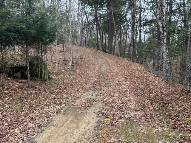









498


Ch. des Caraganiers

,
Amherst,




QC
J0T2T0

