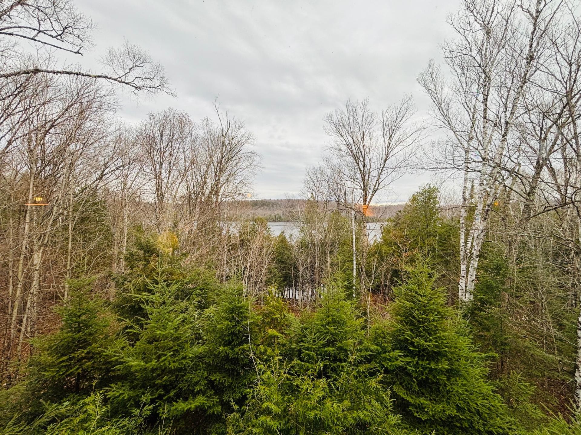









498


Ch. des Caraganiers

,
Amherst,




QC
J0T2T0

