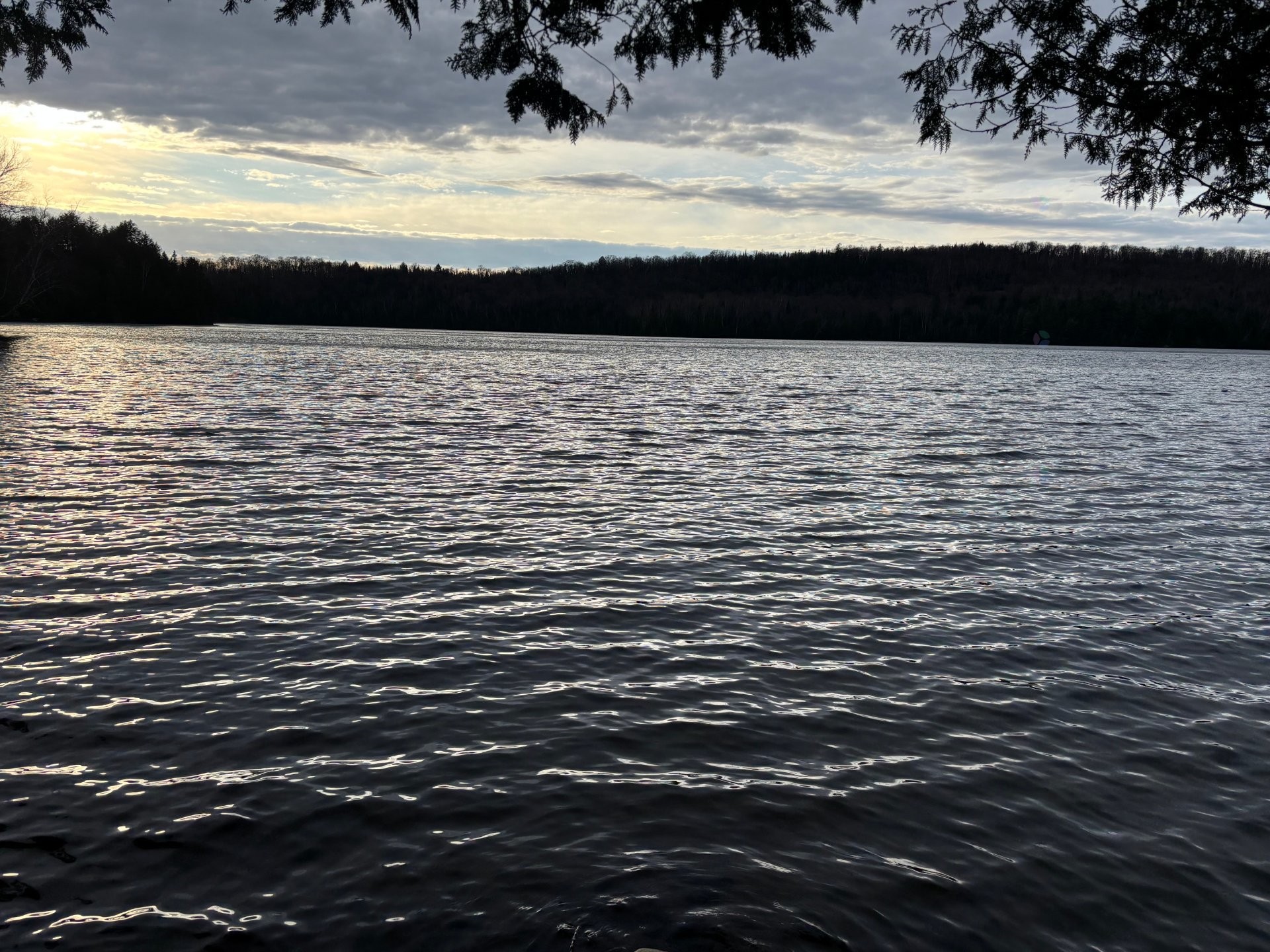 









498


Ch. des Caraganiers

,
Amherst,




QC
J0T2T0

