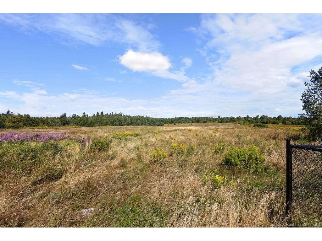 









70


Sullivan Road

,
Kouchibouguac,




NB
E4X 1L7

