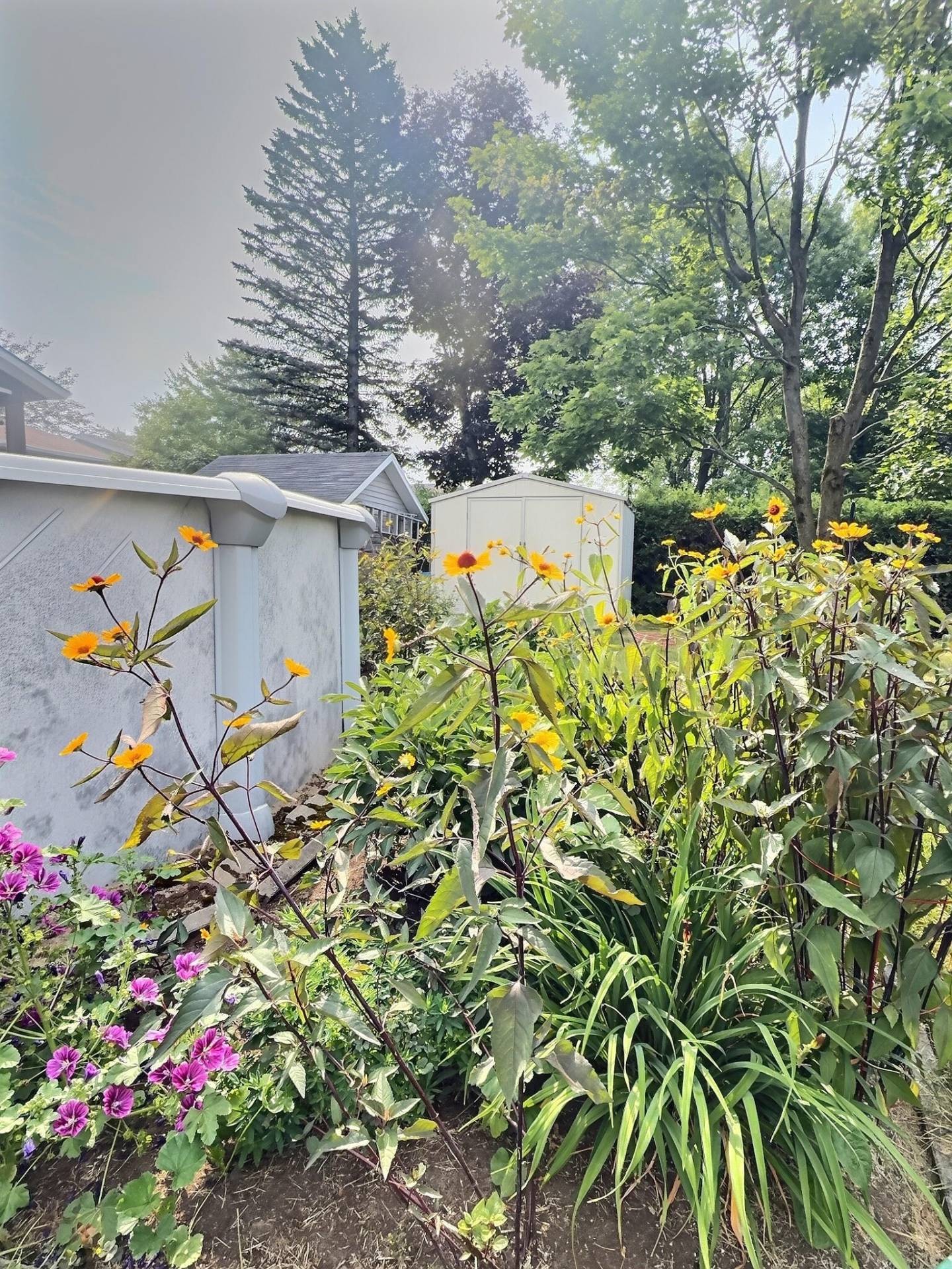 









6185


Rue Lacoursière

,
Trois-Rivières,




QC
G8Y4T6

