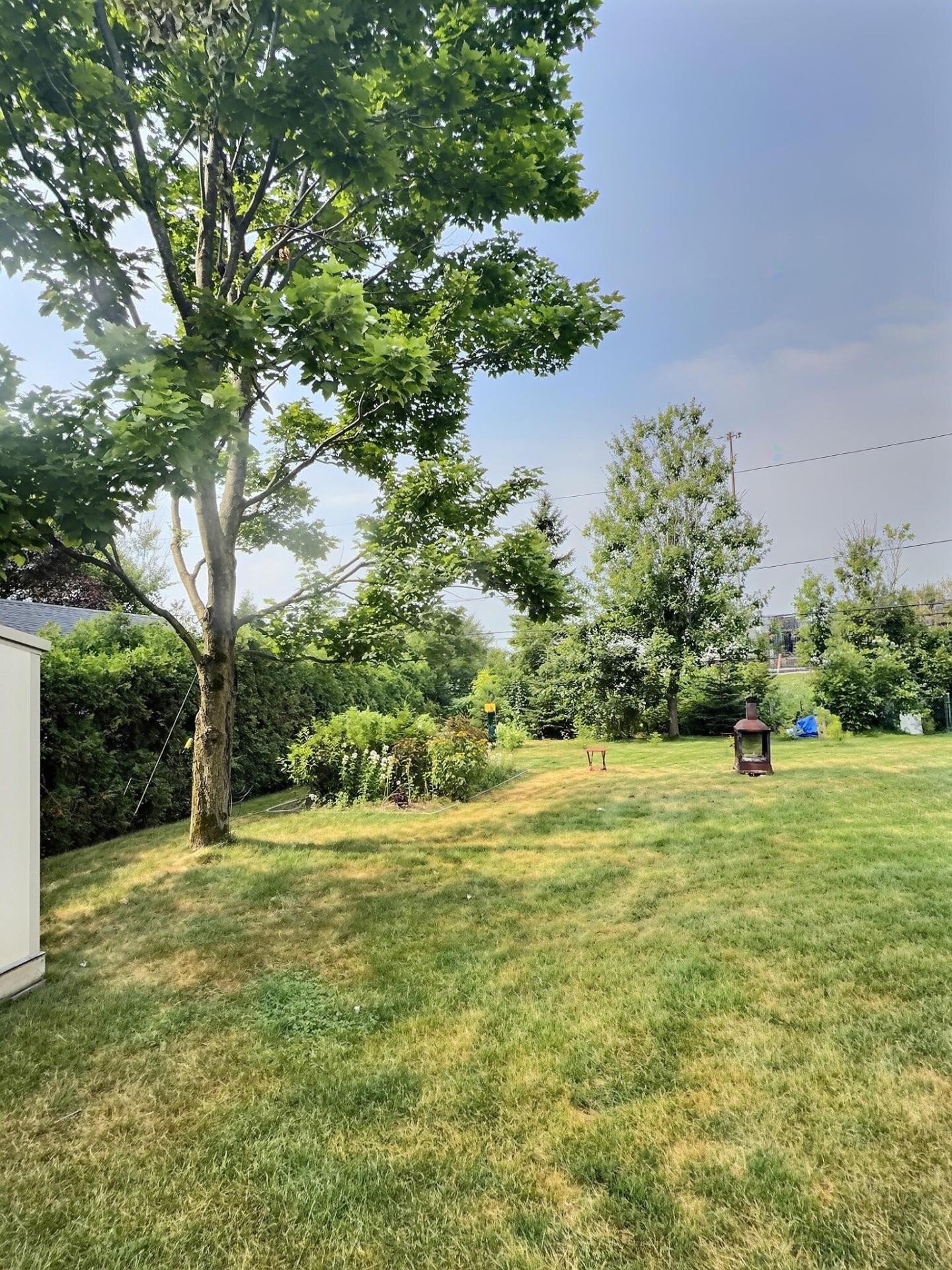 









6185


Rue Lacoursière

,
Trois-Rivières,




QC
G8Y4T6

