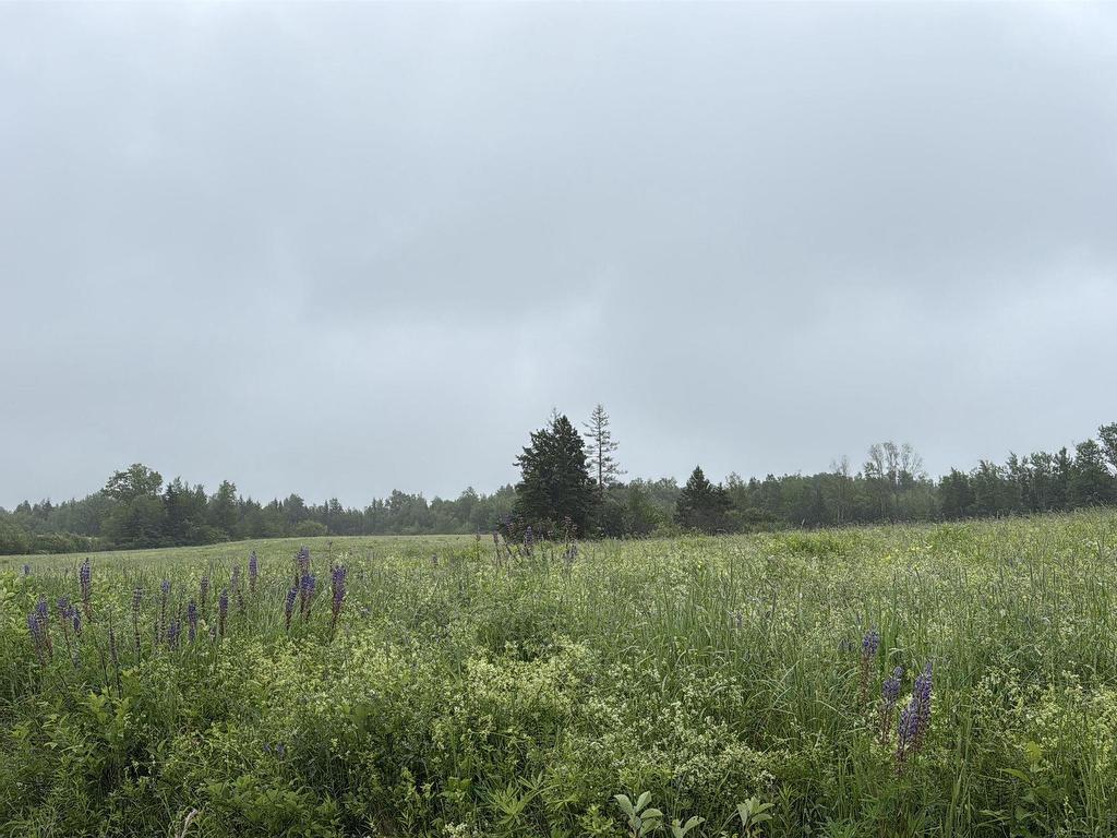 












Lot Wallie Mingo Road

,
Keeble,







NS
B0K 1V0

