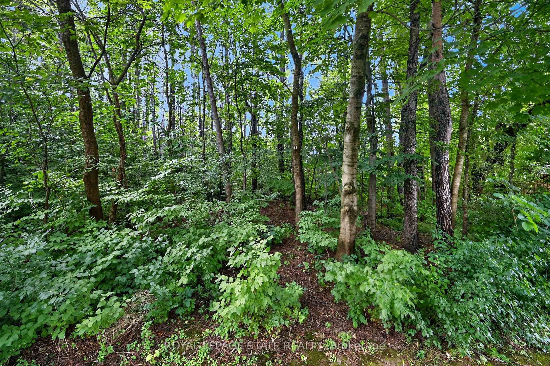









151


Mcniven

Road, 11,
Hamilton,




ON
L9G 4S7

