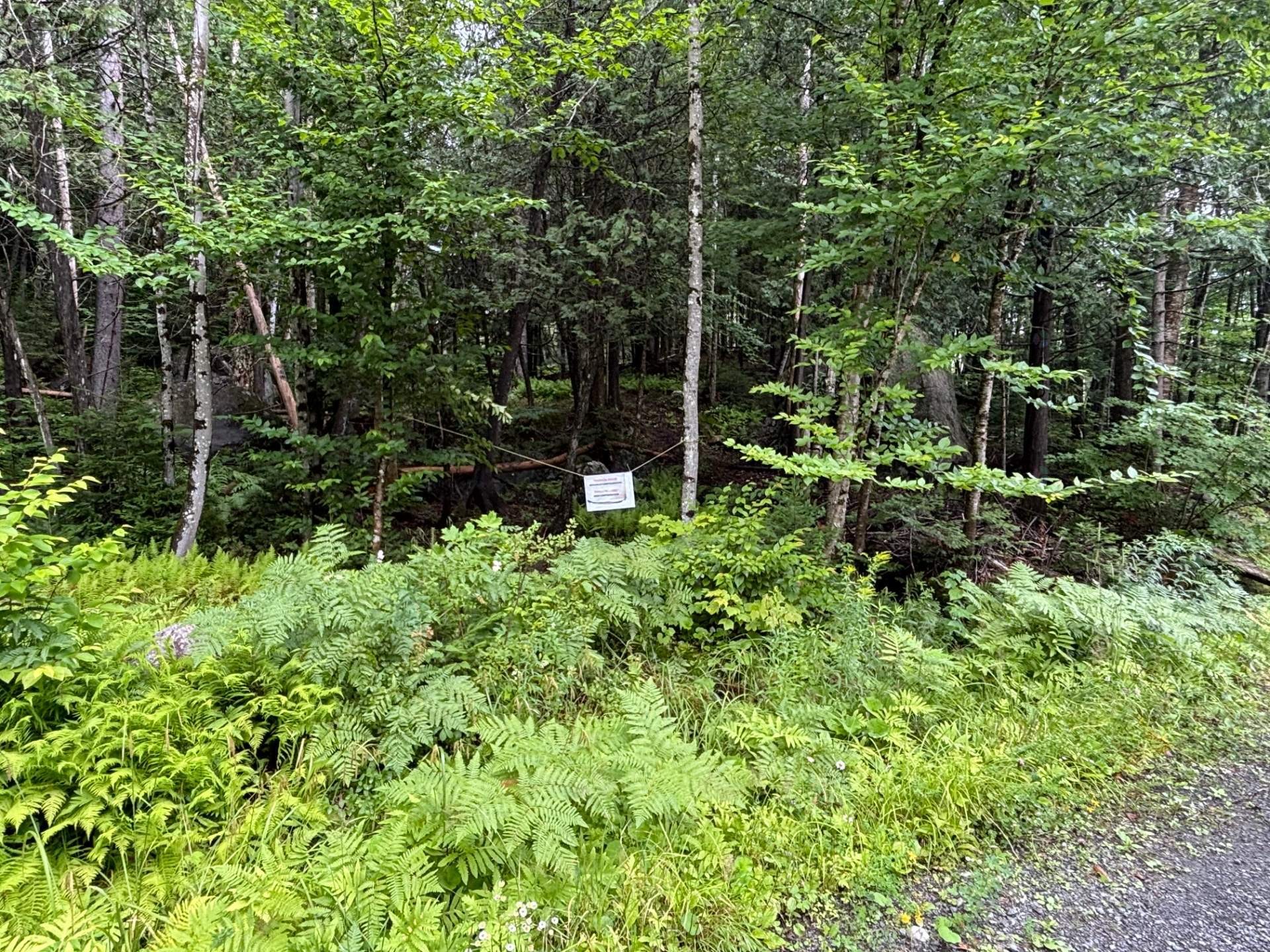 












Ch. Rustique

,
Morin-Heights,







QC
J0R1H0

