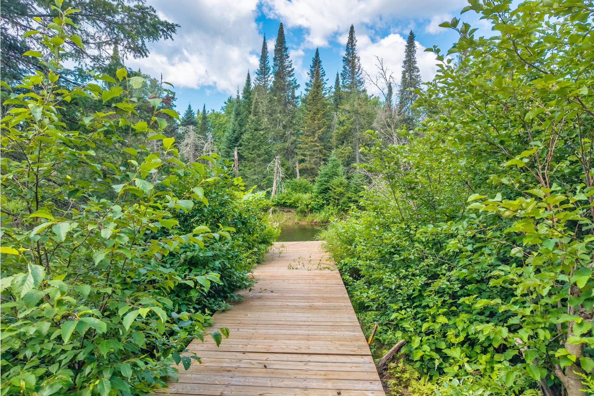 









3385


Ch. du Lac-Supérieur

,
Lac-Supérieur,




QC
J0T1P0

