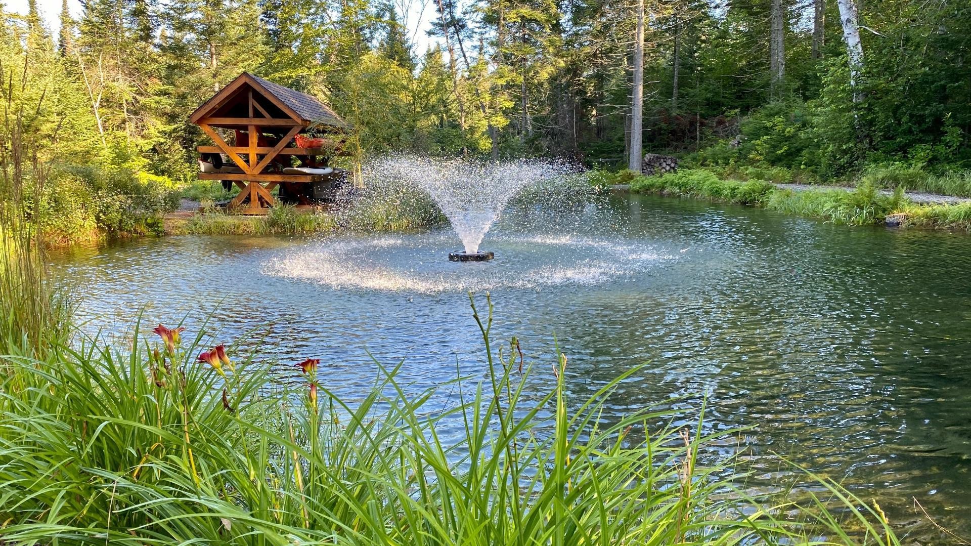 









3385


Ch. du Lac-Supérieur

,
Lac-Supérieur,




QC
J0T1P0

