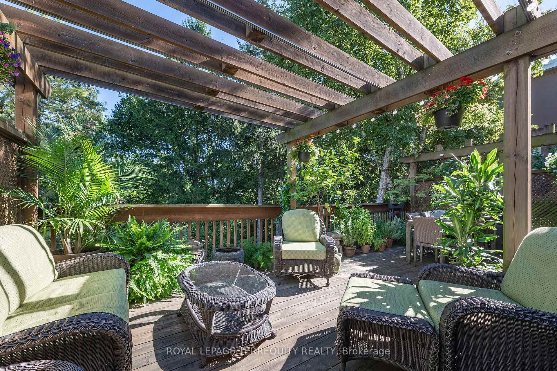 









223


Riverside

Drive,
Toronto,




ON
M6S 4A8

