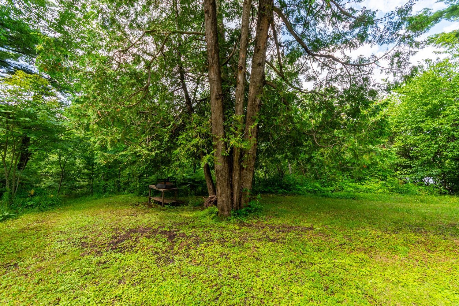 









1018


Ch. des Nations

,
Sainte-Anne-des-Lacs,




QC
J0R1B0

