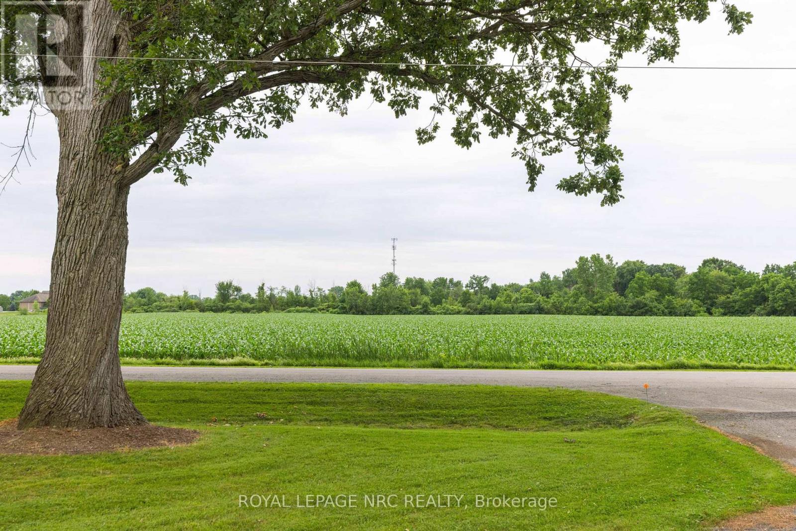 












54038 WILLFORD ROAD

,
Wainfleet (Marshville/Winger),




Ontario
L0S1V0

