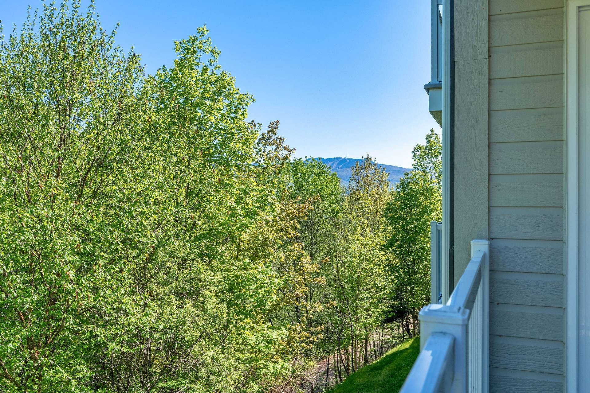 









136


Rue du Mont-Plaisant

, 207,
Mont-Tremblant,




QC
J8E1L2

