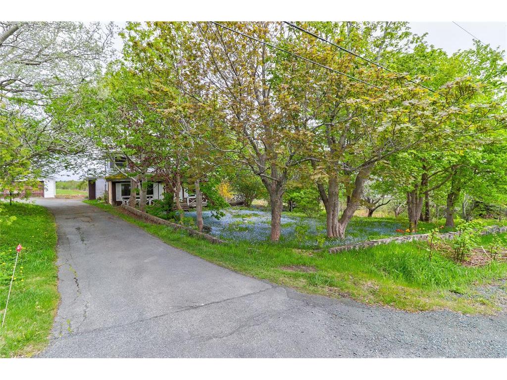 









434


Allandale

Road,
St. John's,




NL
A1B 4E8

