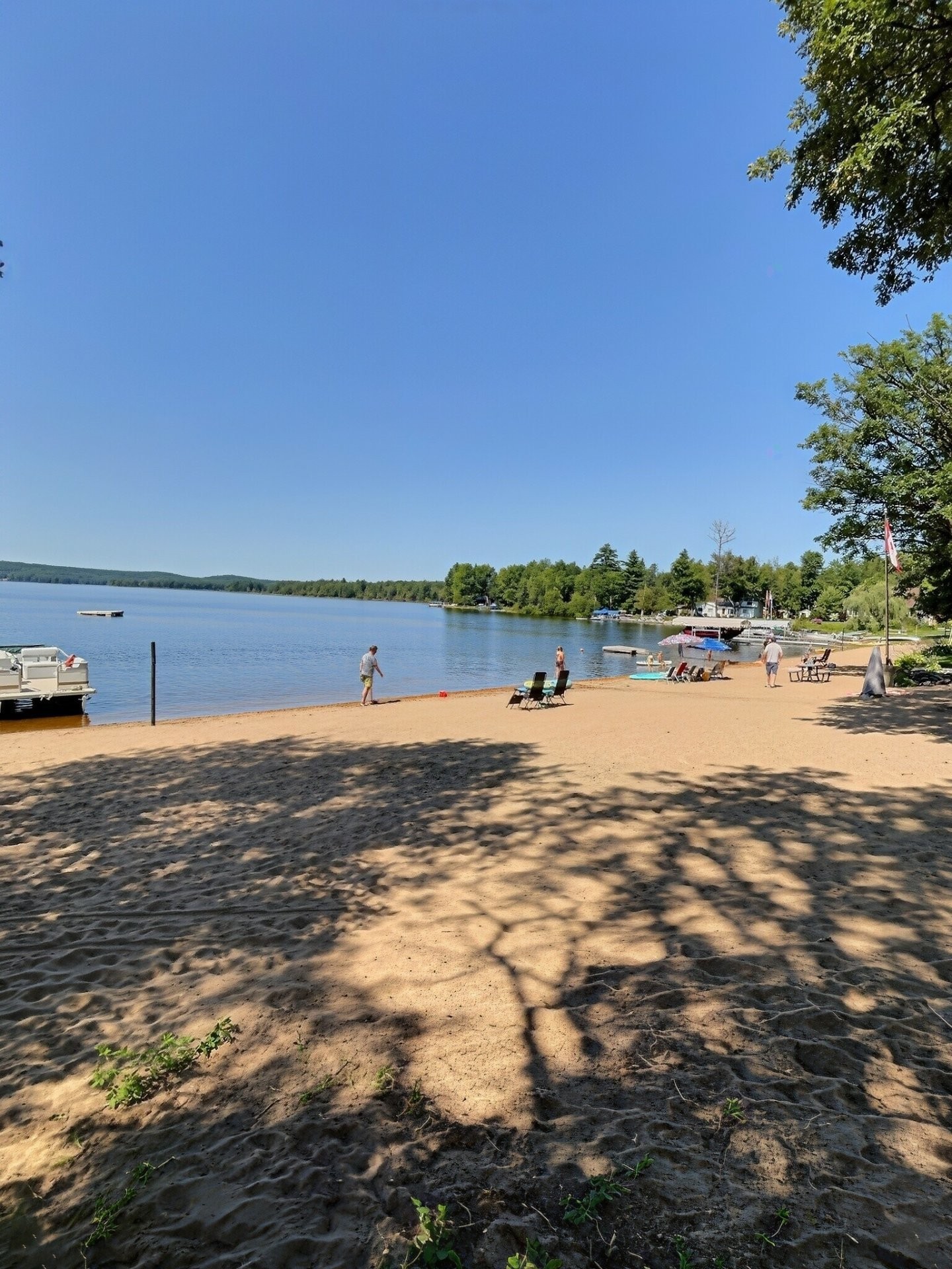 









342C


Ch. de Sand Bay

,
Clarendon,




QC
J0X2Y0

