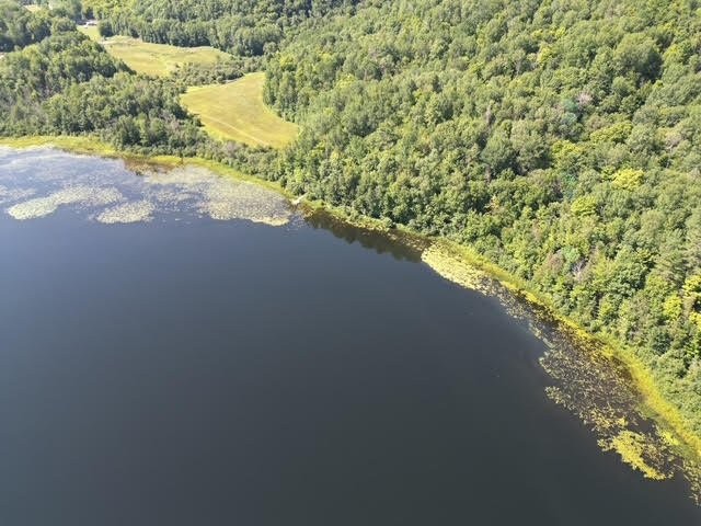 












Ch. Thomas N.

,
Notre-Dame-de-la-Salette,







QC
J0X2L0

