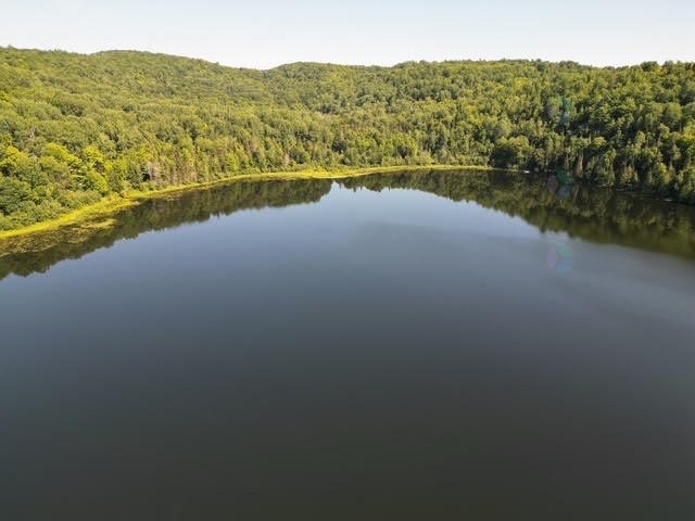 












Ch. Thomas N.

,
Notre-Dame-de-la-Salette,







QC
J0X2L0

