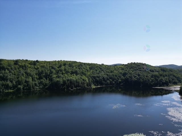 












Ch. Thomas N.

,
Notre-Dame-de-la-Salette,







QC
J0X2L0

