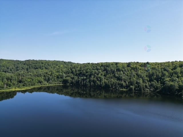 












Ch. Thomas N.

,
Notre-Dame-de-la-Salette,







QC
J0X2L0

