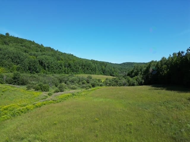 












Ch. Thomas N.

,
Notre-Dame-de-la-Salette,







QC
J0X2L0

