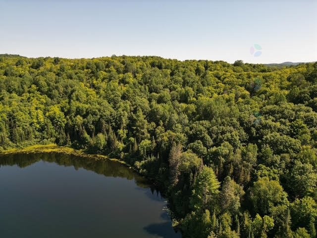 












Ch. Thomas N.

,
Notre-Dame-de-la-Salette,







QC
J0X2L0

