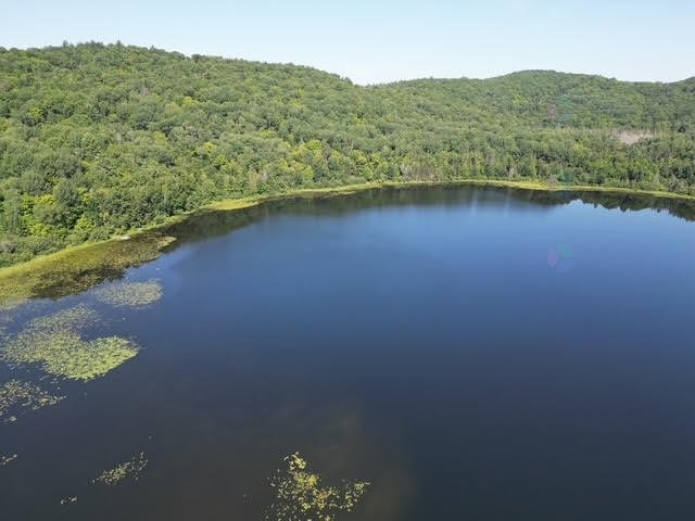












Ch. Thomas N.

,
Notre-Dame-de-la-Salette,







QC
J0X2L0


