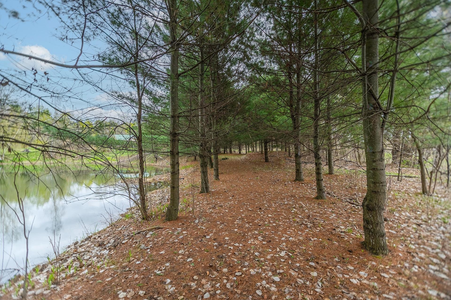 









8431


Route Marie-Victorin

,
Contrecoeur,




QC
J0L1C0

