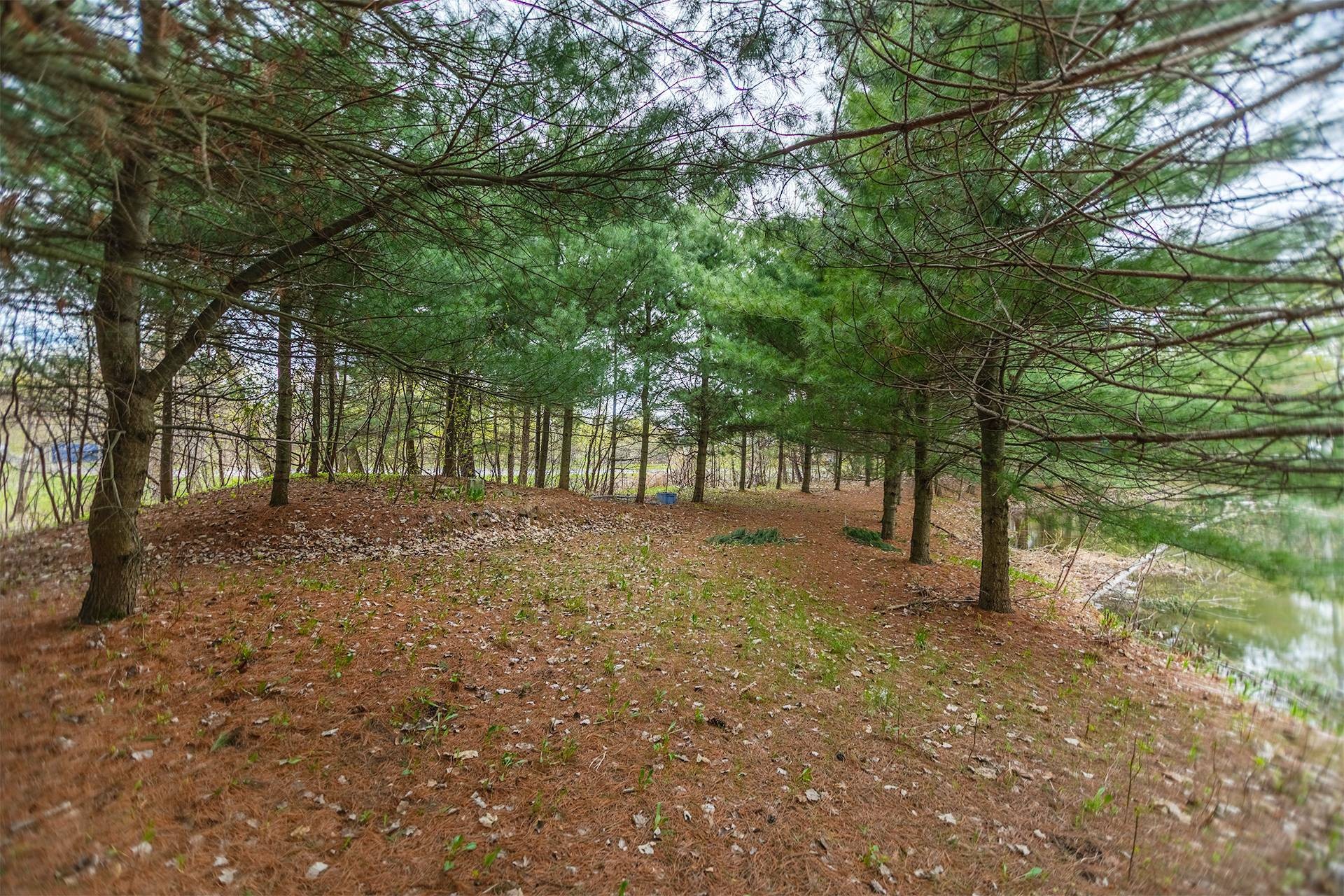 









8431


Route Marie-Victorin

,
Contrecoeur,




QC
J0L1C0

