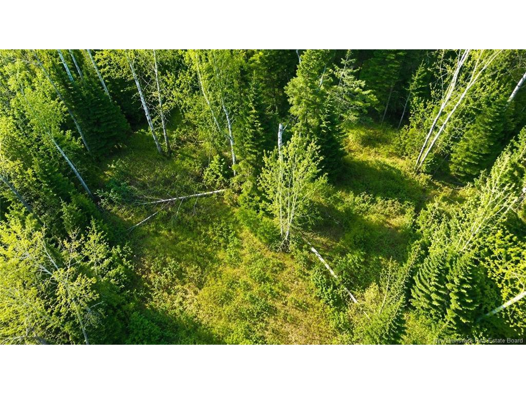 









Lot


Newburg Road

,
Woodstock,







NB
E7N 1N5

