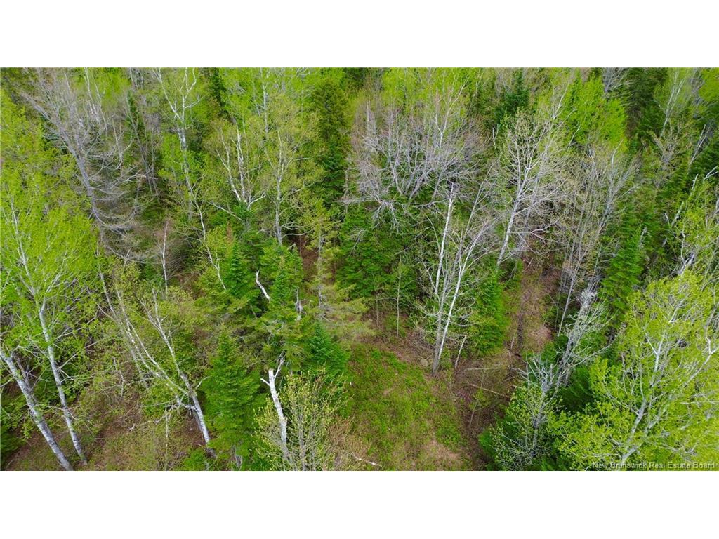 









Lot


Newburg Road

,
Woodstock,







NB
E7N 1N5

