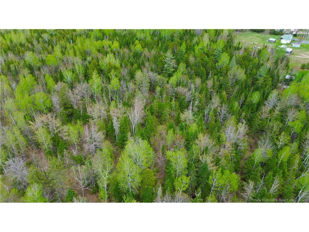 









Lot


Newburg Road

,
Woodstock,







NB
E7N 1N5

