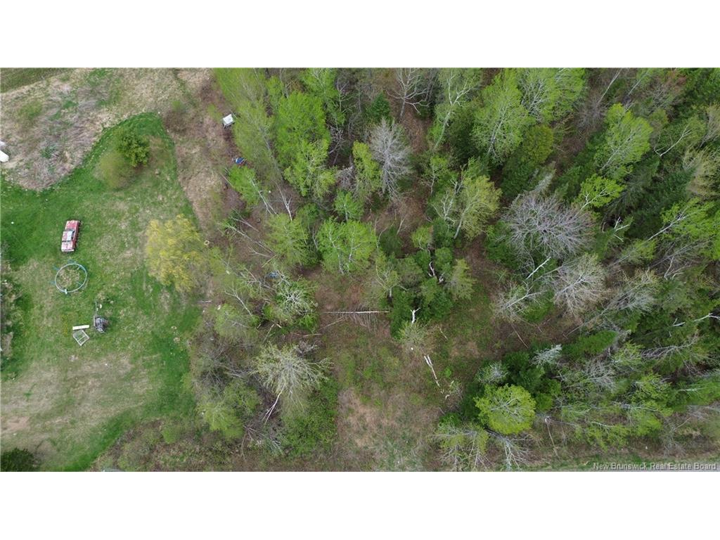 









Lot


Newburg Road

,
Woodstock,







NB
E7N 1N5

