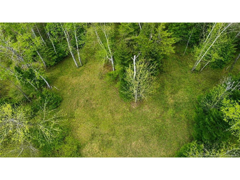 









Lot


Newburg Road

,
Woodstock,







NB
E7N 1N5

