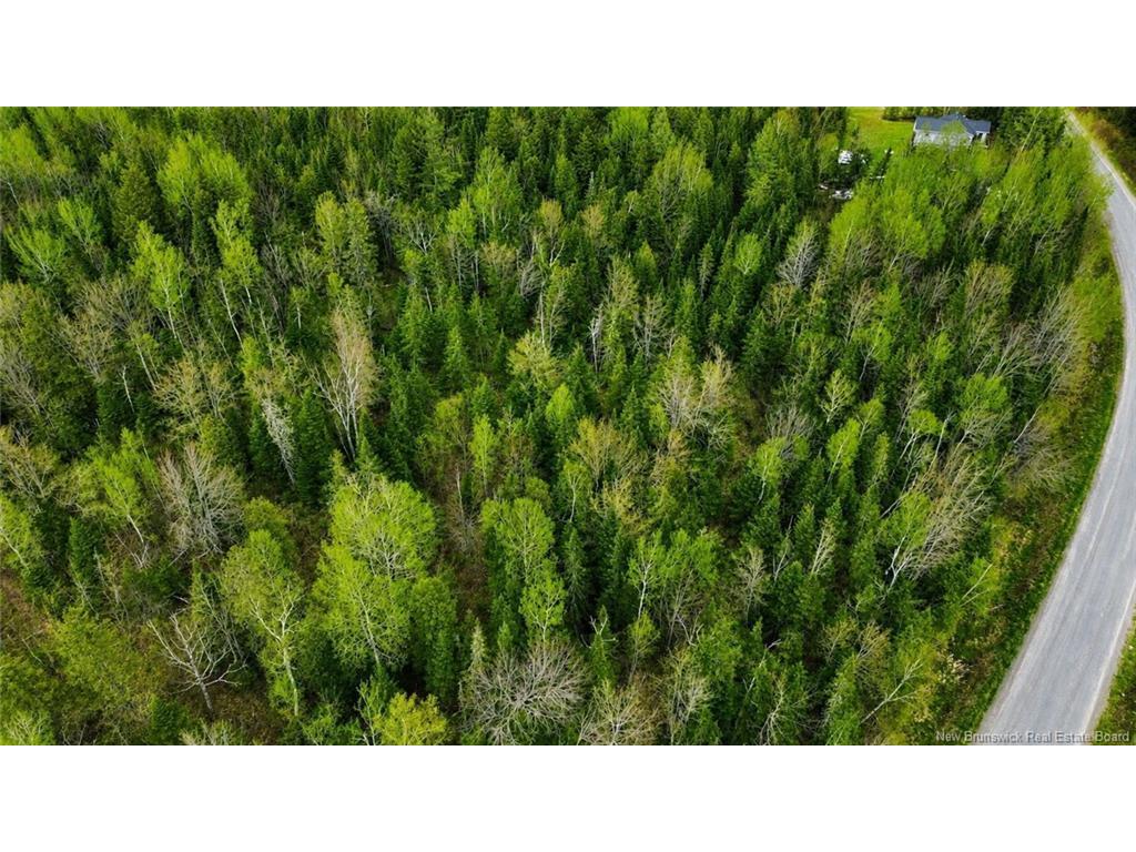 









Lot


Newburg Road

,
Woodstock,







NB
E7N 1N5

