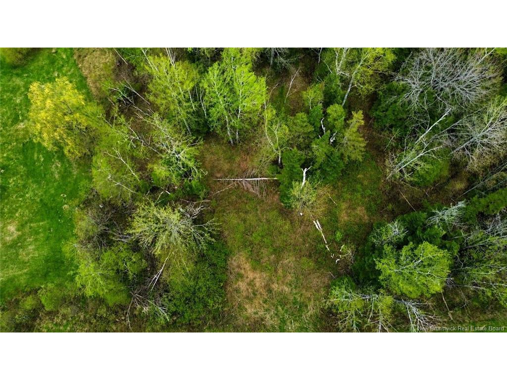 









Lot


Newburg Road

,
Woodstock,







NB
E7N 1N5

