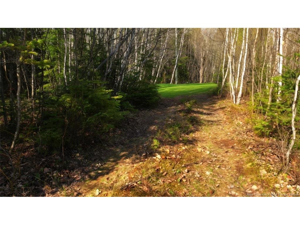 









LOT


Route 126

,
Harcourt,







NB
E4T 2Z5

