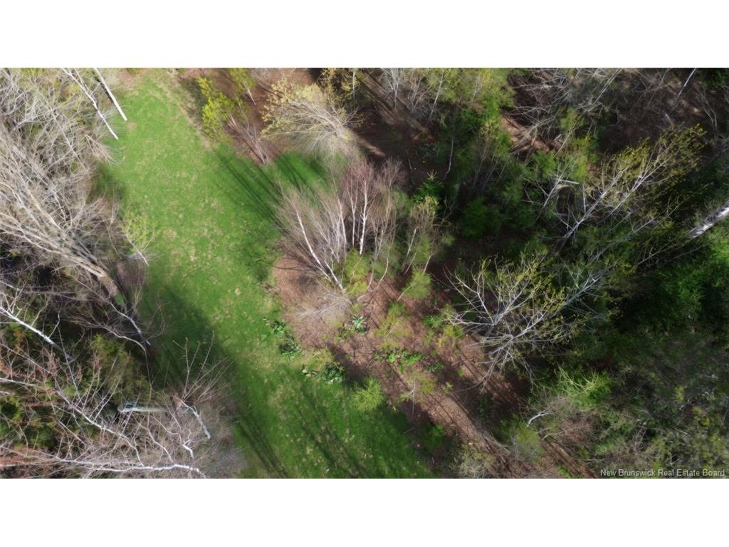 









LOT


Route 126

,
Harcourt,







NB
E4T 2Z5

