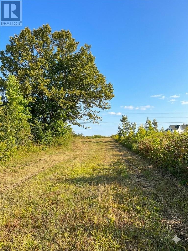 












PT 2 Highway 540

,
Gore Bay, Manitoulin Island,







Ontario
P0P1H0

