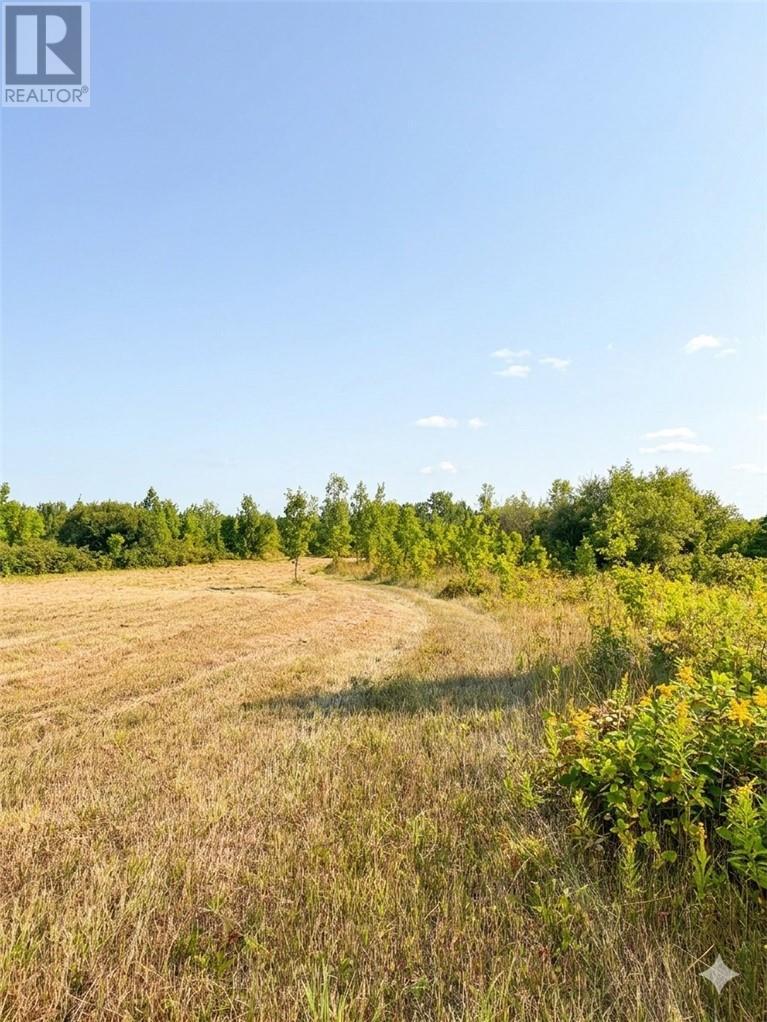 












PT 2 Highway 540

,
Gore Bay, Manitoulin Island,







Ontario
P0P1H0

