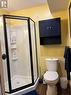 In-Law Suite Bathroom