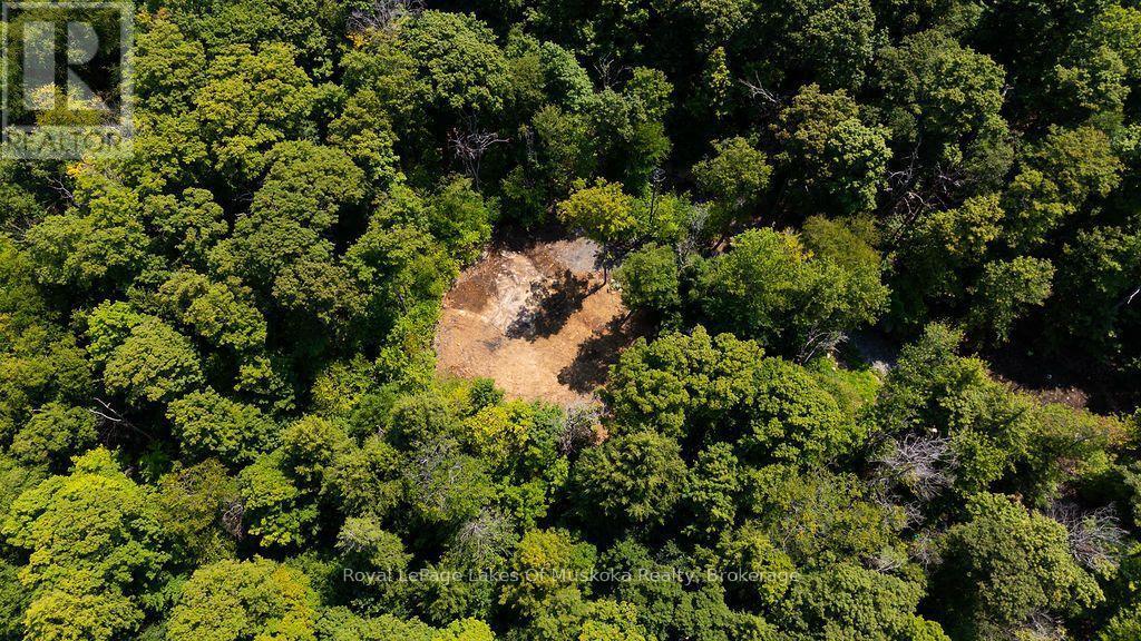 












LOT #15 - 101 GRYFFIN BLUFFS LANE

,
Huntsville (Brunel),







Ontario
P0B1M0

